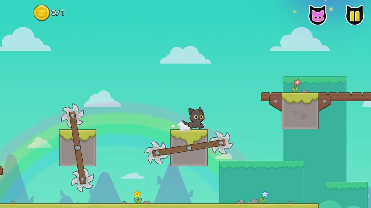 Kitty Loves Birds