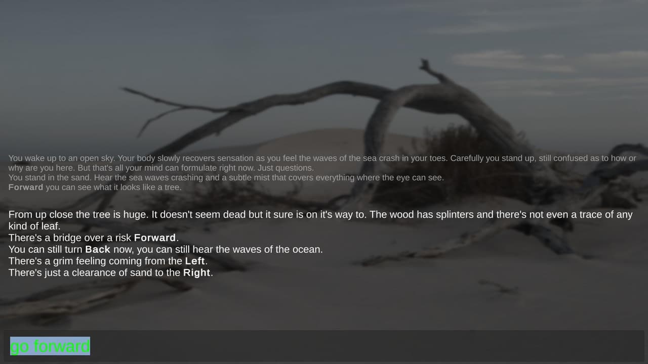 Misty Island screenshot 2