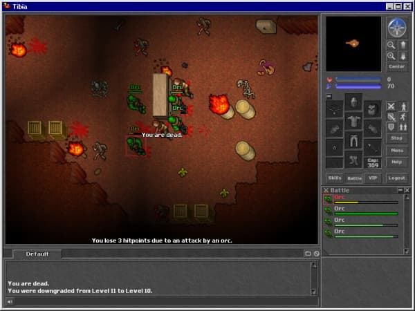 Tibia screenshot 6