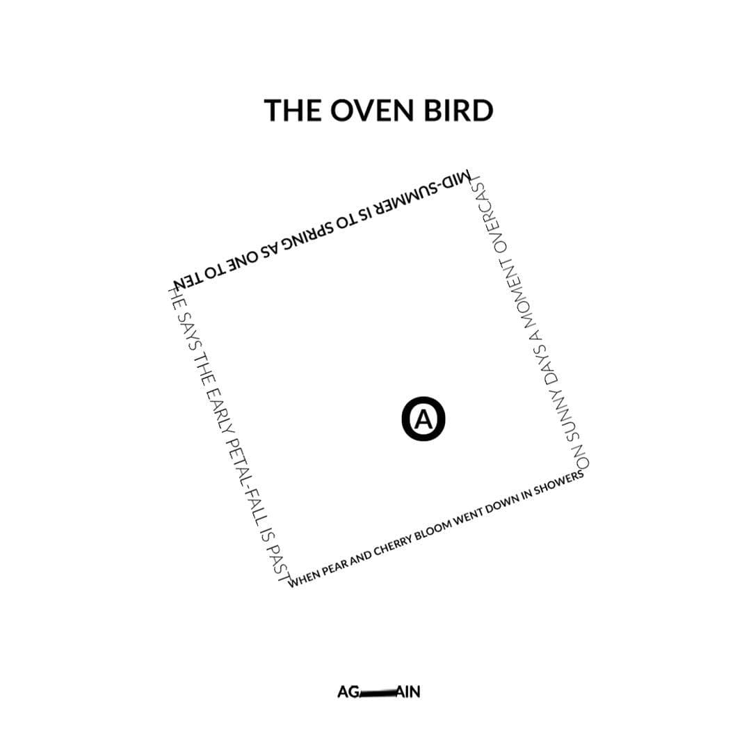 The Oven Bird