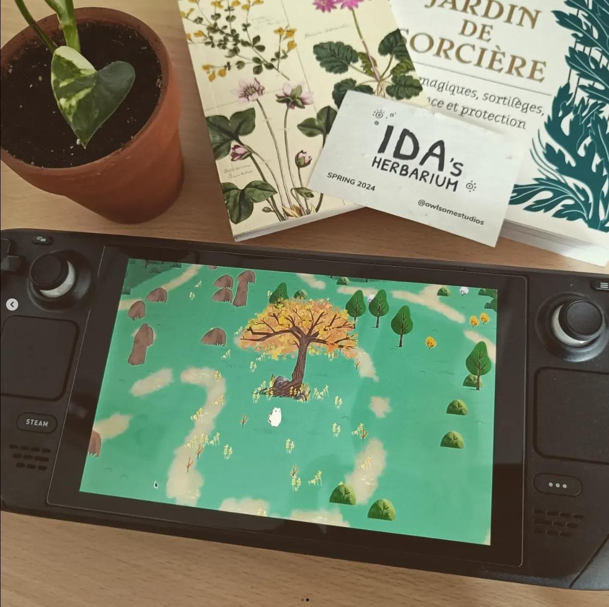 Idas Herbarium screenshot 5