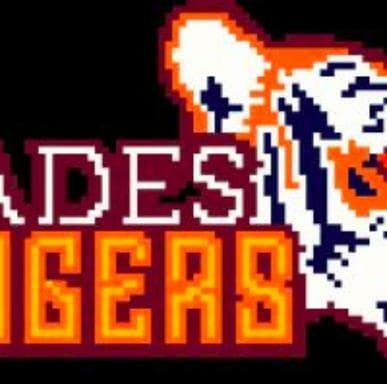 Hades Tigers Cross-Stitch Logo screenshot 2