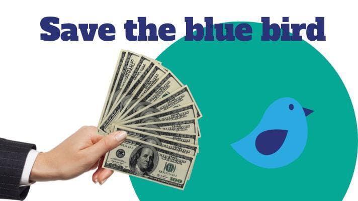 Save the blue bird