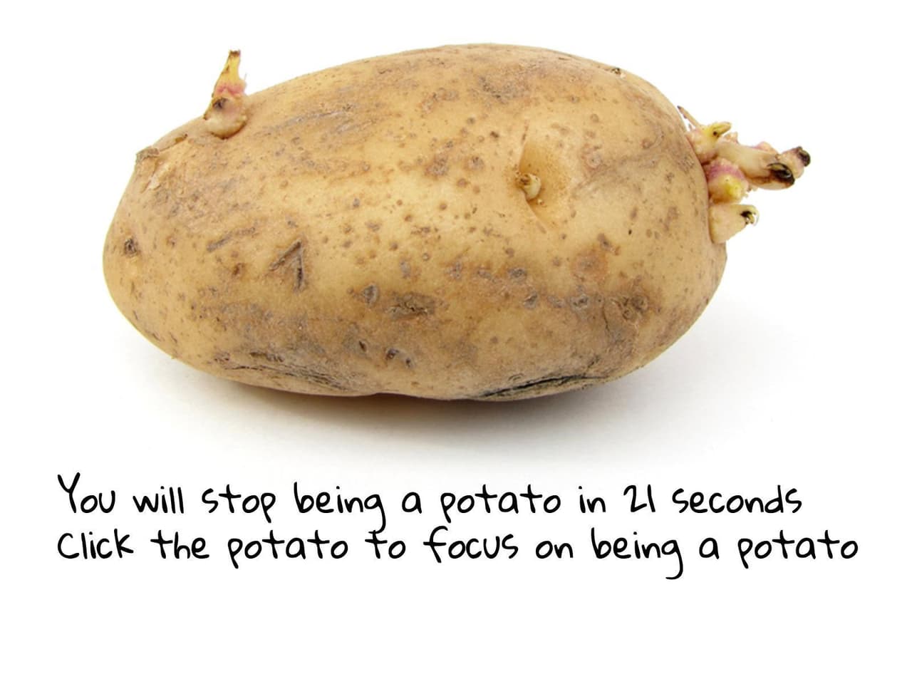 Potato Simulator 2014 Remix screenshot 2