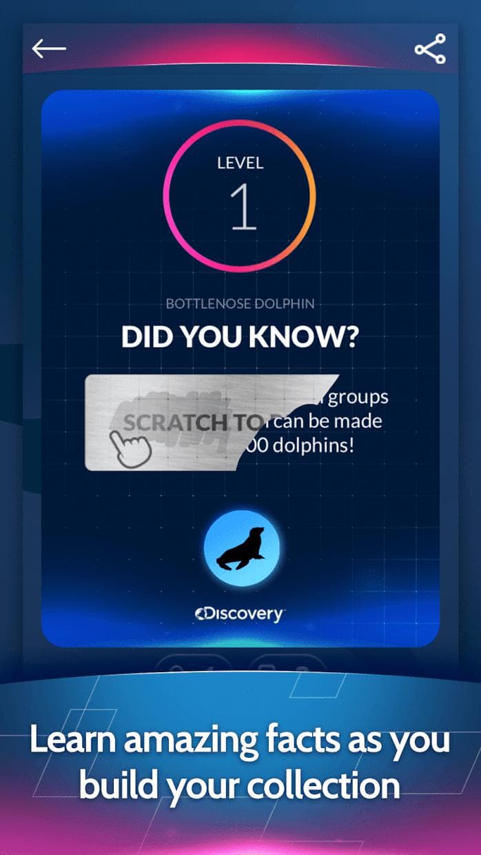 Discovery Card Quest screenshot 4