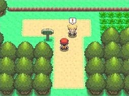 Pokémon Diamond, Pearl screenshot 3