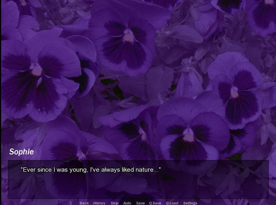 ONYX ~separate dream~ screenshot 5