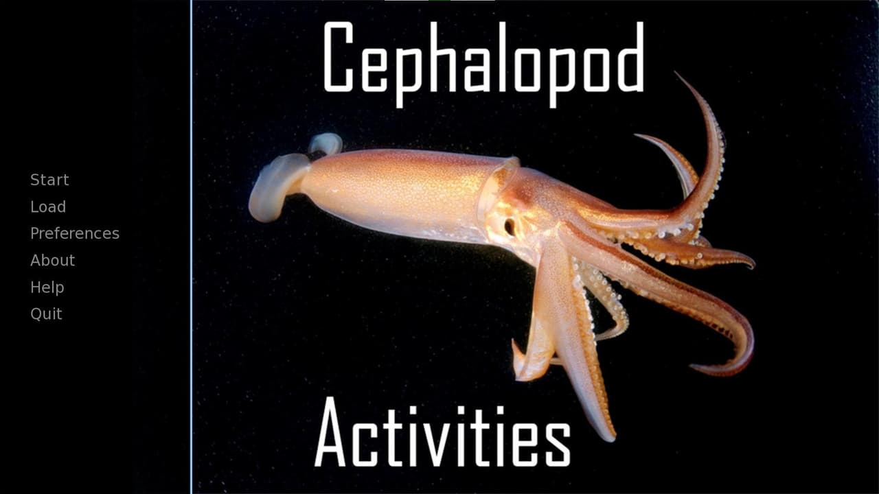 Cephalopod activities screenshot 2