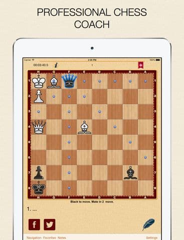 Mate in 2? OK! v.2 screenshot 2