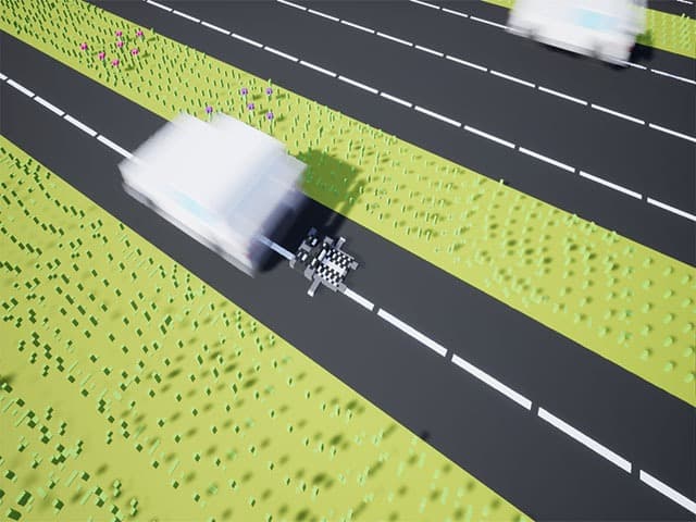 RunRoadRaccoon