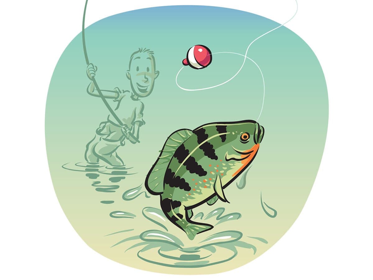 Impossible Fishing Trip