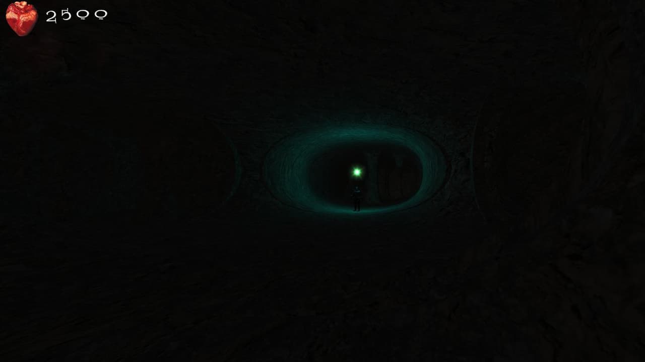The Curse of Loonies screenshot 5