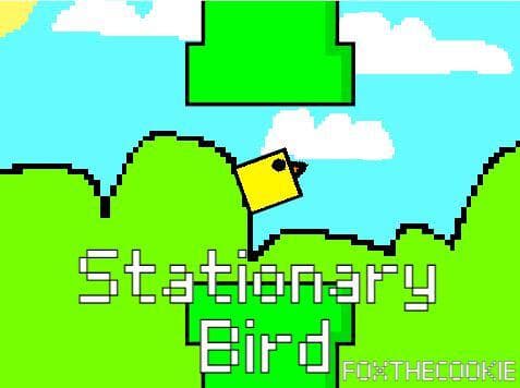 Stationary Bird