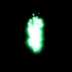 Soul Shepherd (Robert7301201)