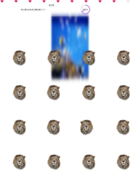 Animal Faces L/R Touch