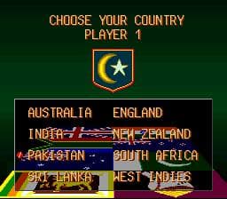 Super International Cricket screenshot 4