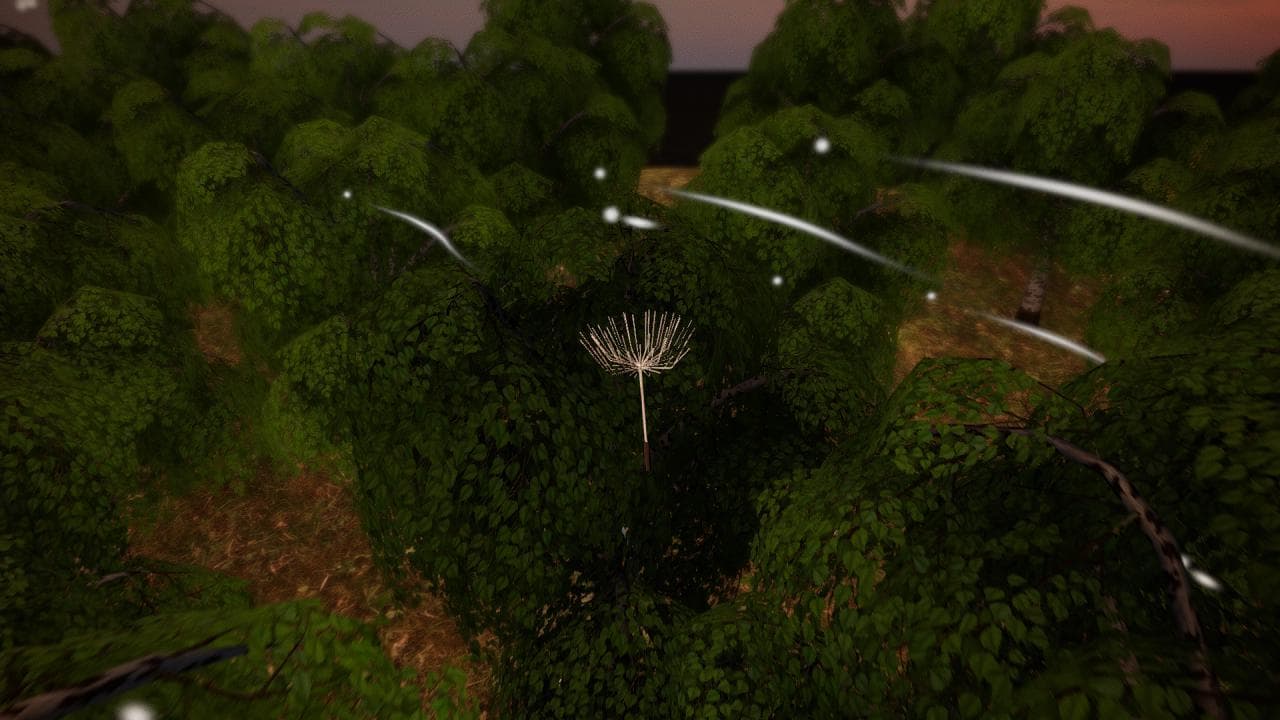 Dande-Lander