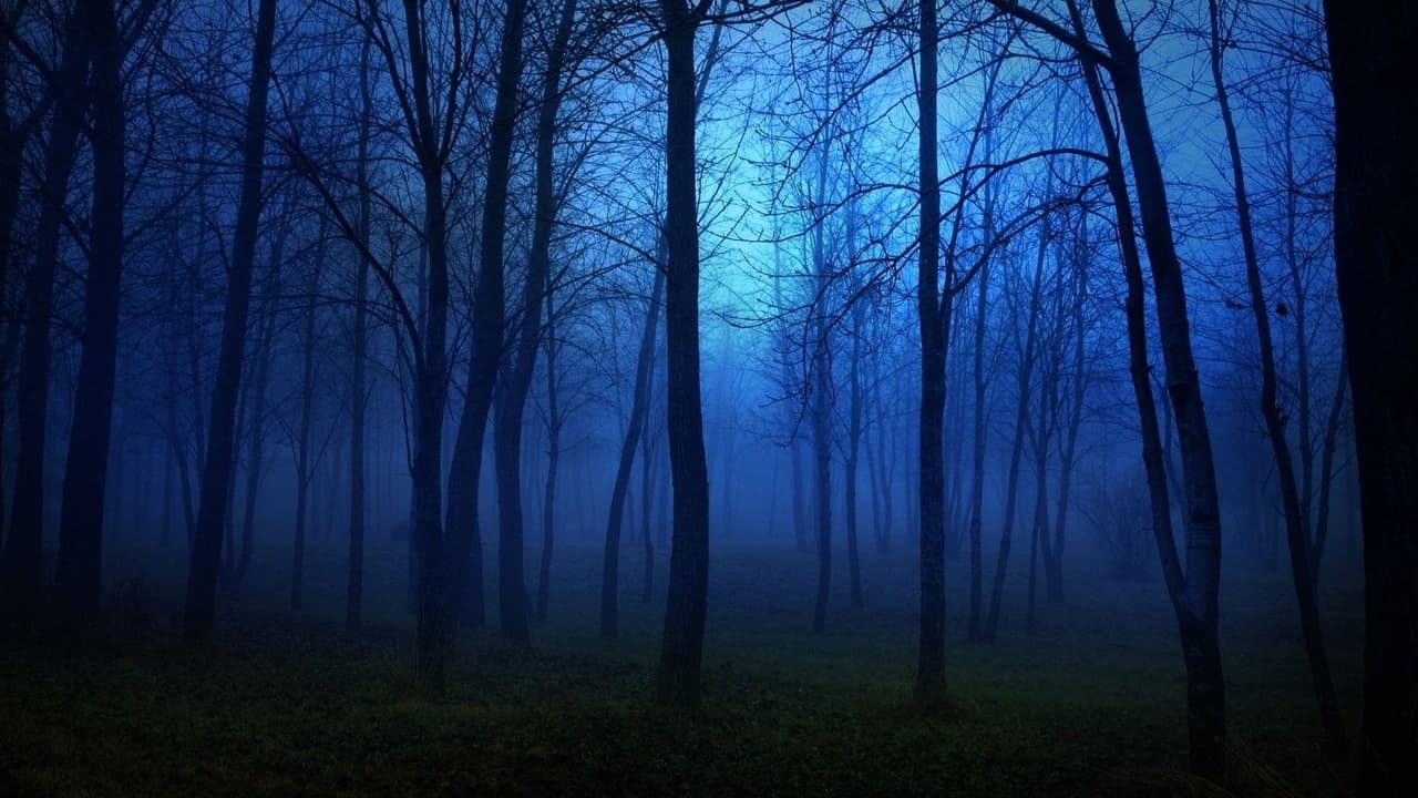 Spongebob in Dark Forest