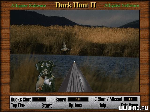 Duck Hunt 2 screenshot 3