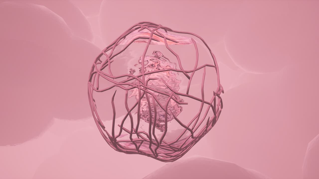 Anima screenshot 2