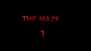 THE MAZE 1