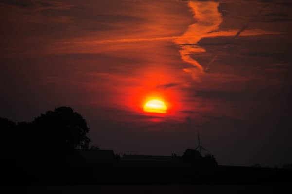 Red Morning