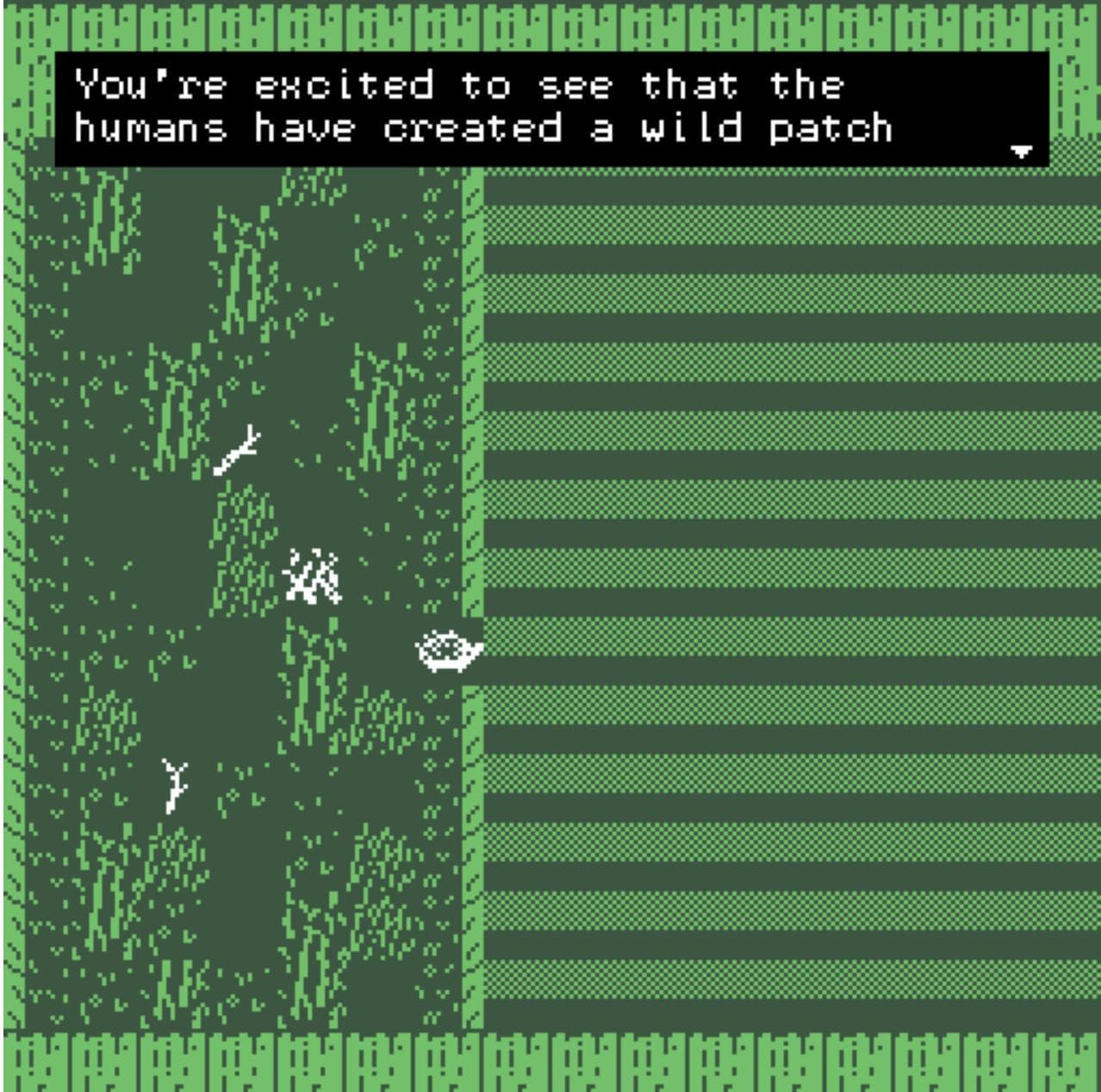 A Hedgehogs Home screenshot 4