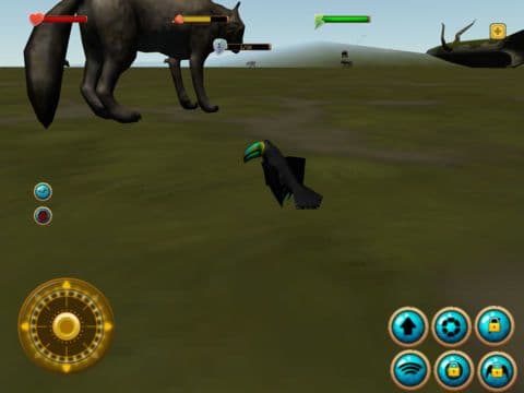 Toucan Simulator 3D