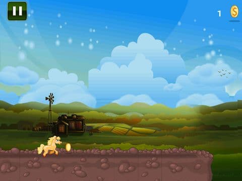 A Baby Horse Run