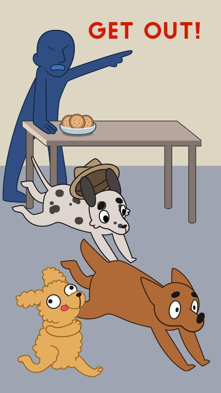 Ruff Interview