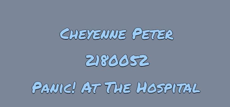 Panic! At The Hospital A Twine Piece