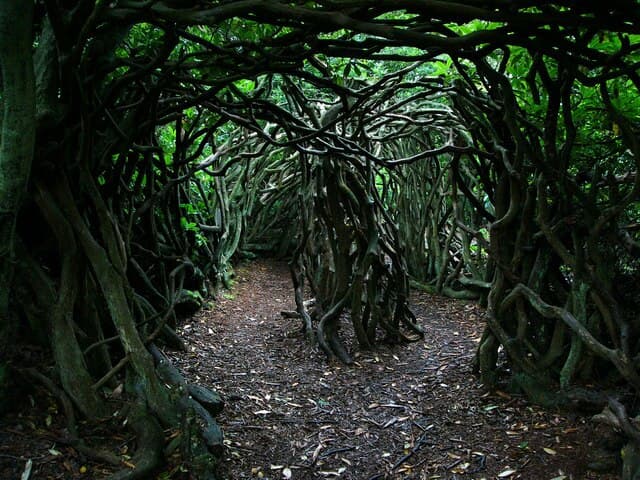 Lost in Wonderland