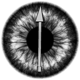 EyesOfMarch4Vr screenshot 4