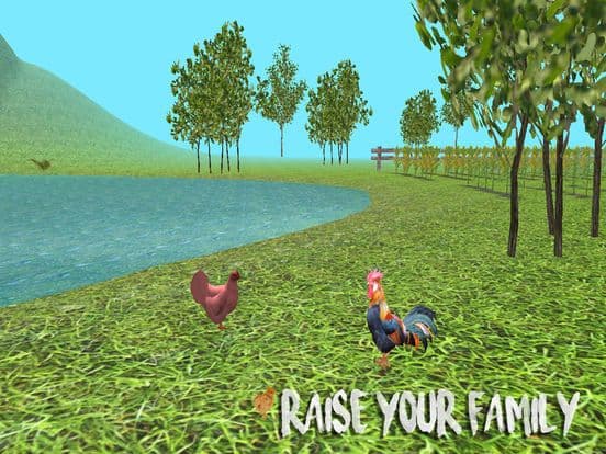 Rooster Simulator screenshot 4