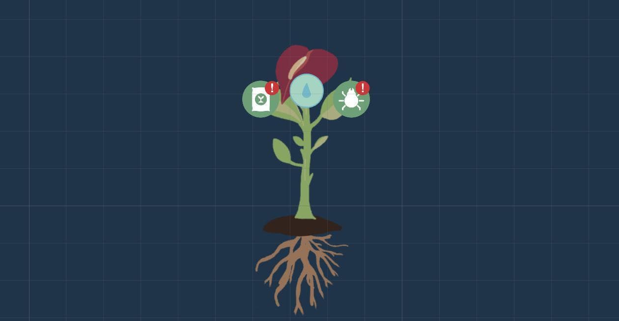 Lifeseeds