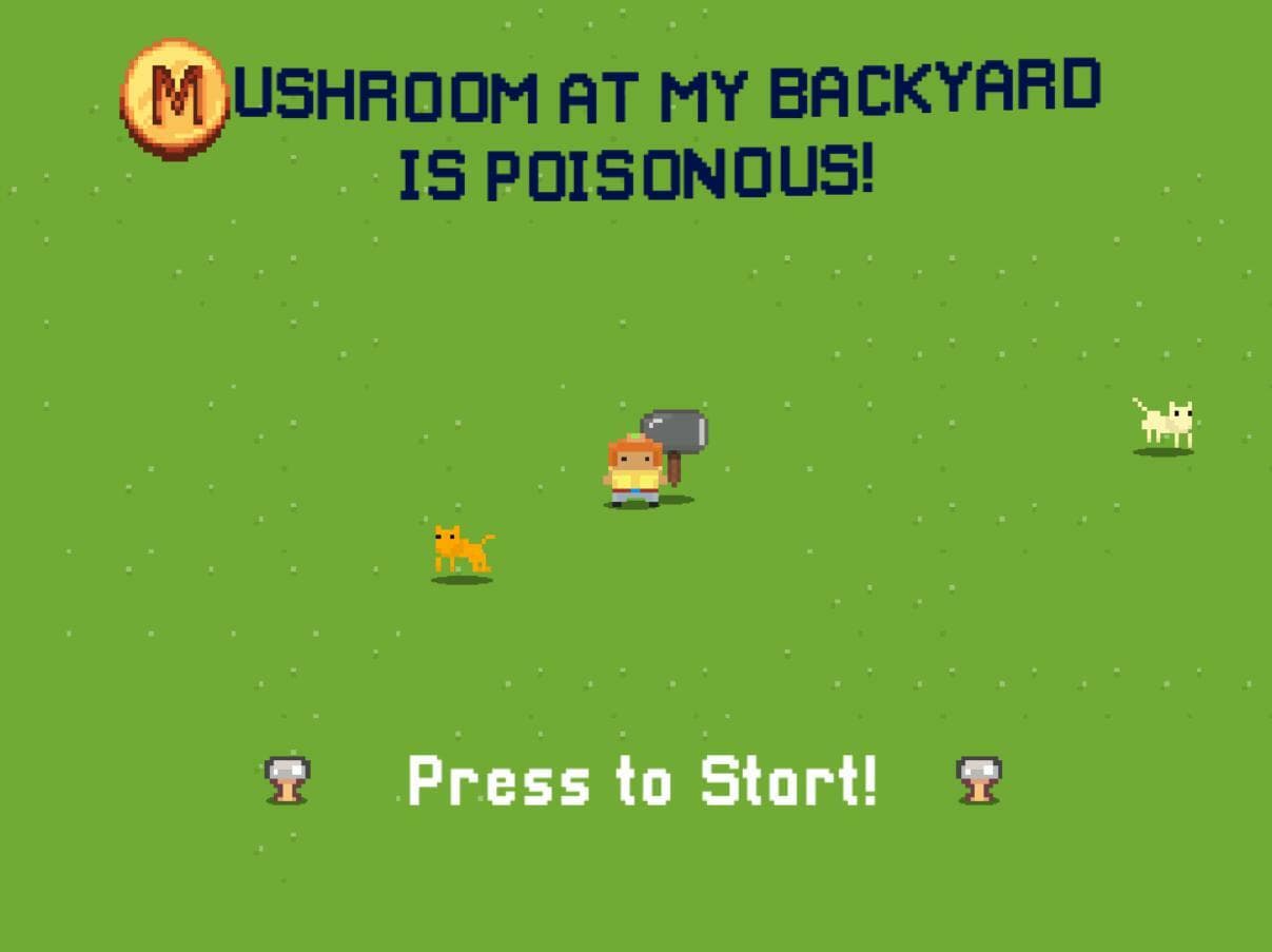 Mushroom at My Backyard is Poisonous!