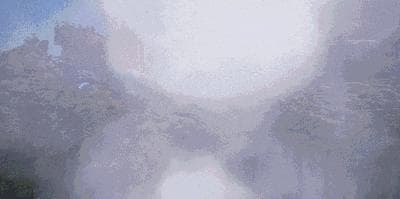 Wild Life (2022) screenshot 5