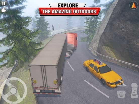 Cargo Delivery Truck Driver 18