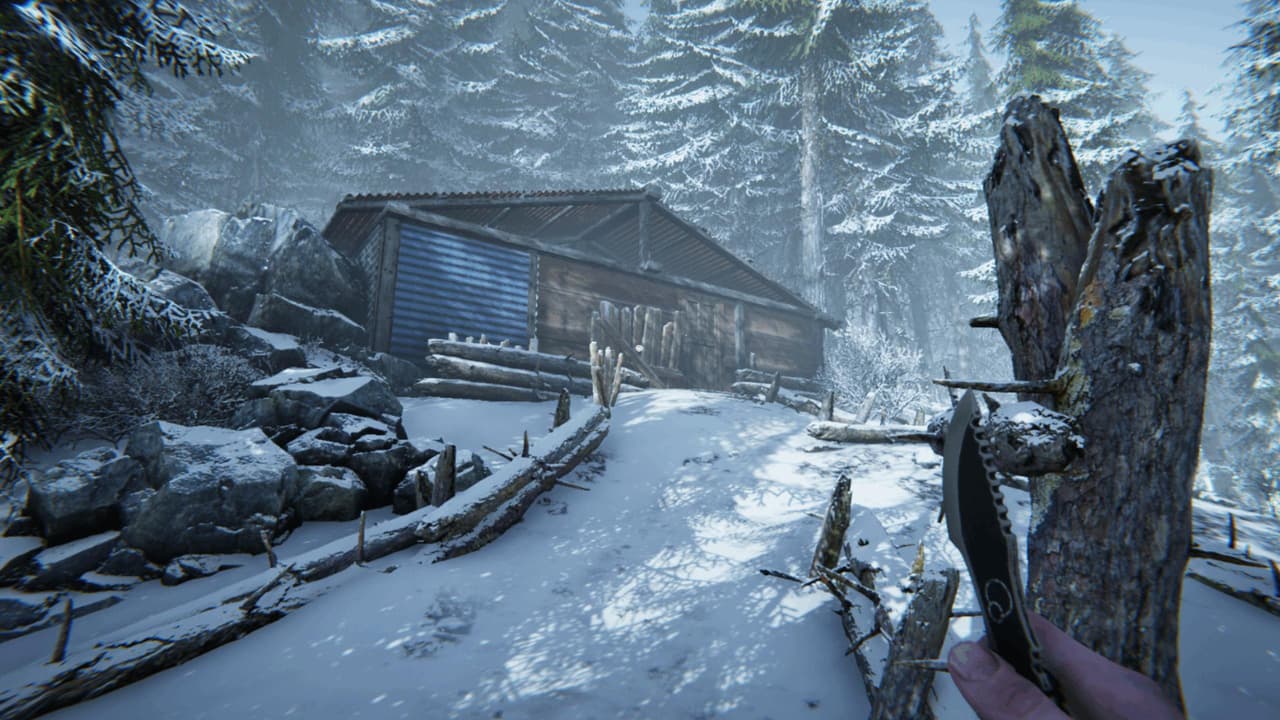 Silence In The Cabin (Demo) screenshot 4