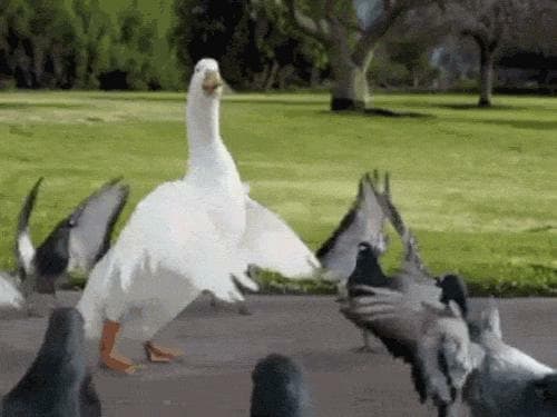 Untitled Goose Game For Free