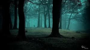 the murdering woods