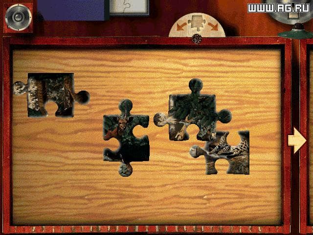 Digital Photo Puzzle screenshot 3