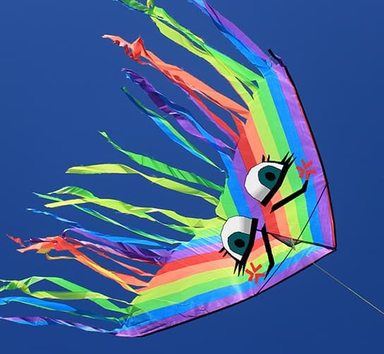 Kite Boy (for Windows)