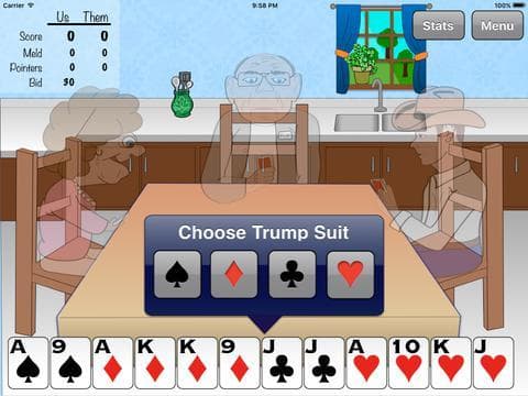 Pinochle Pro screenshot 3