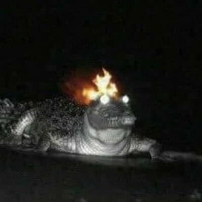 Accurate Fire Gator Simulator
