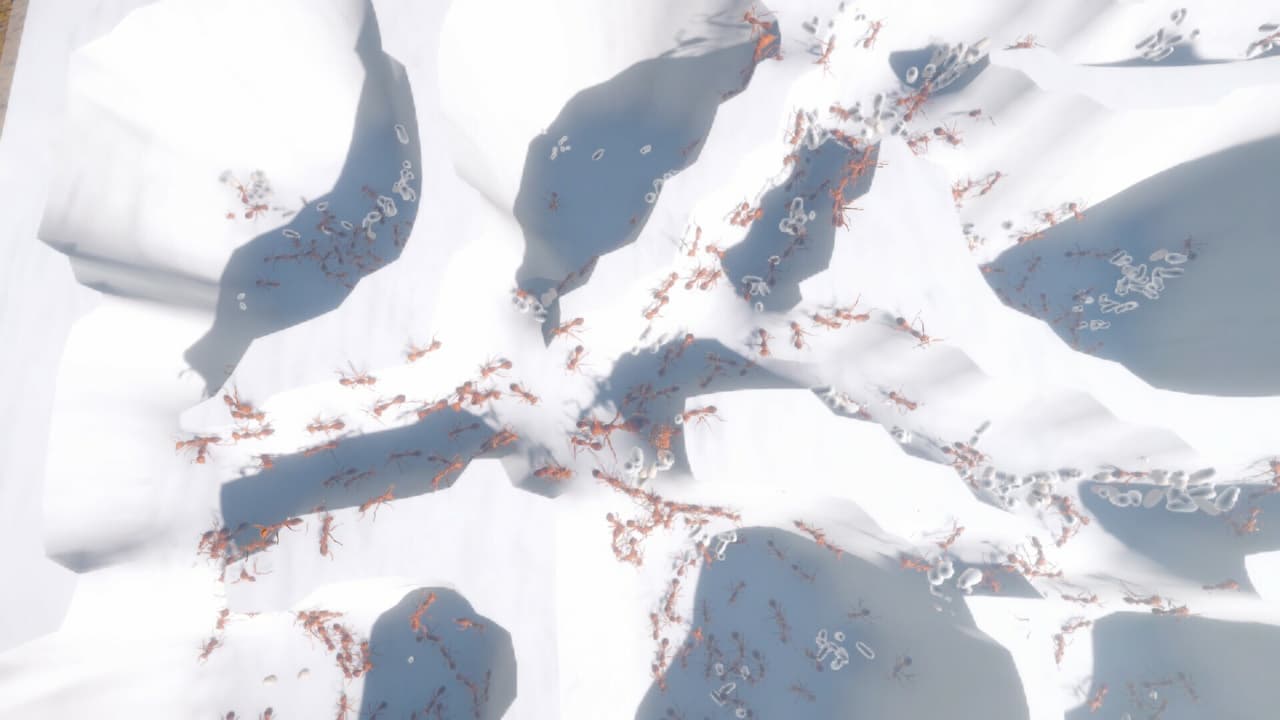 Ant Keeping Simulator screenshot 2