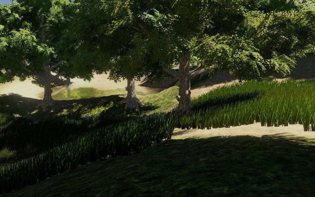 Walking in the forest: Simulator