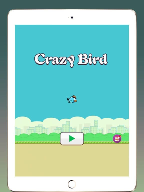 Crazy Bird:Flying bird screenshot 2