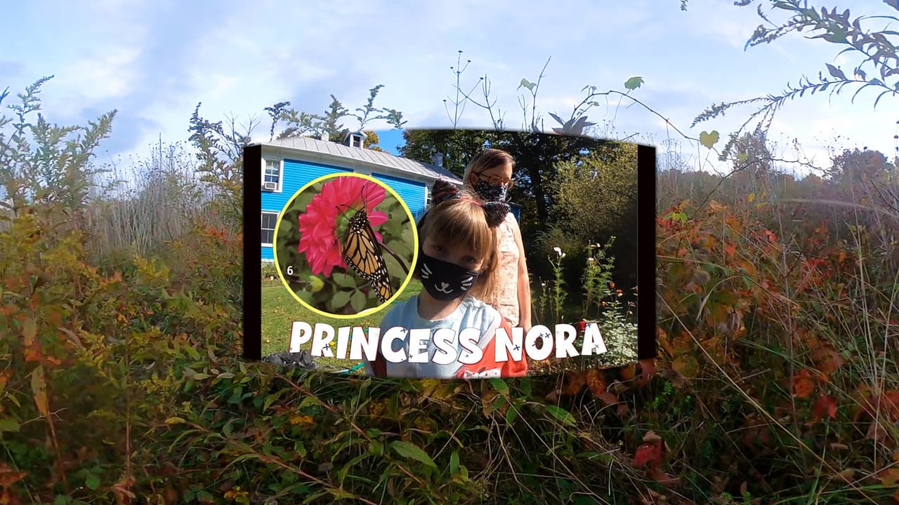 Release Pumpkin at VR screenshot 3
