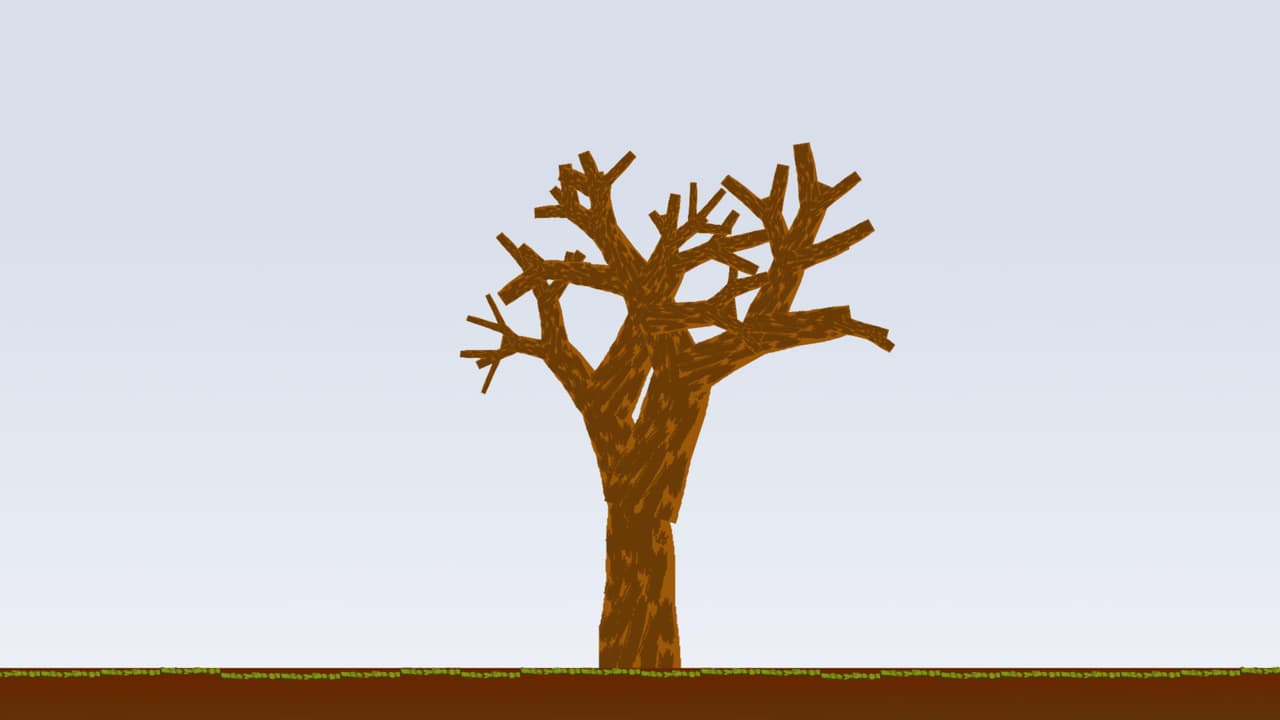 Seasons of the Tree